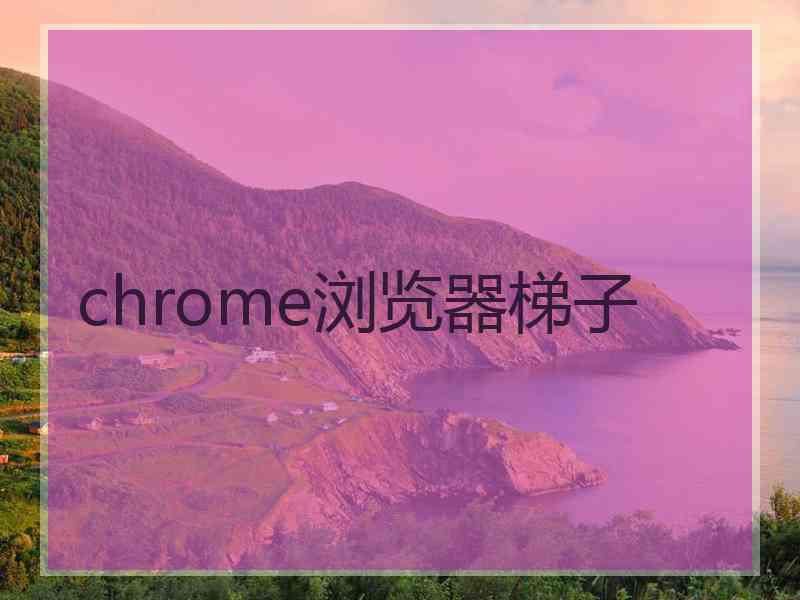 chrome浏览器梯子