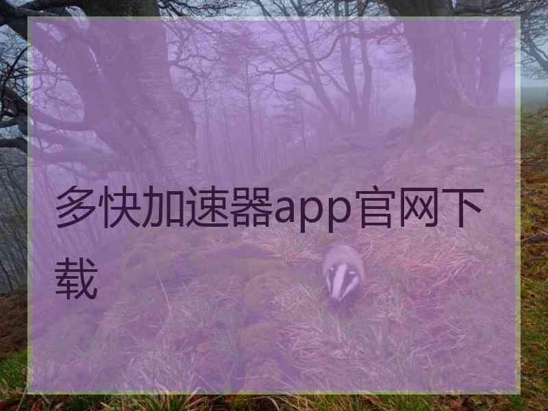 多快加速器app官网下载