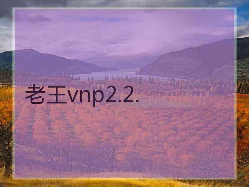 老王vnp2.2.