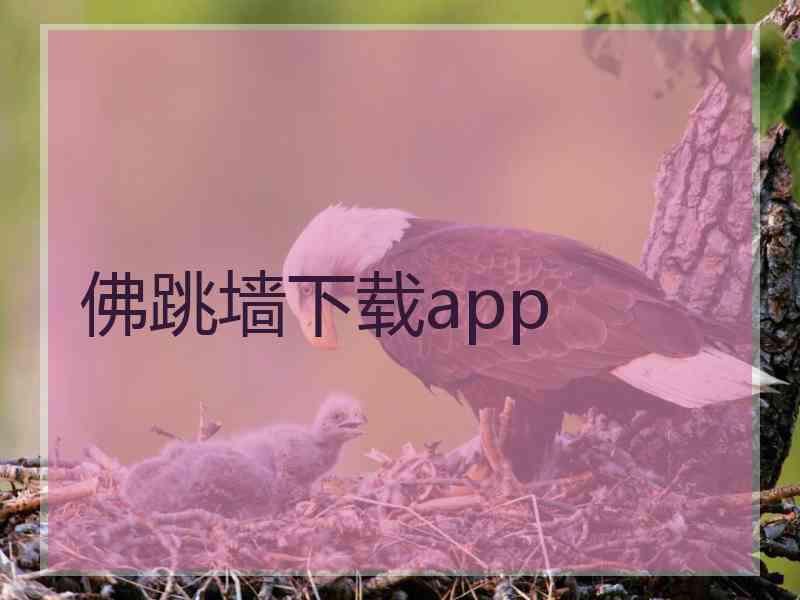 佛跳墙下载app