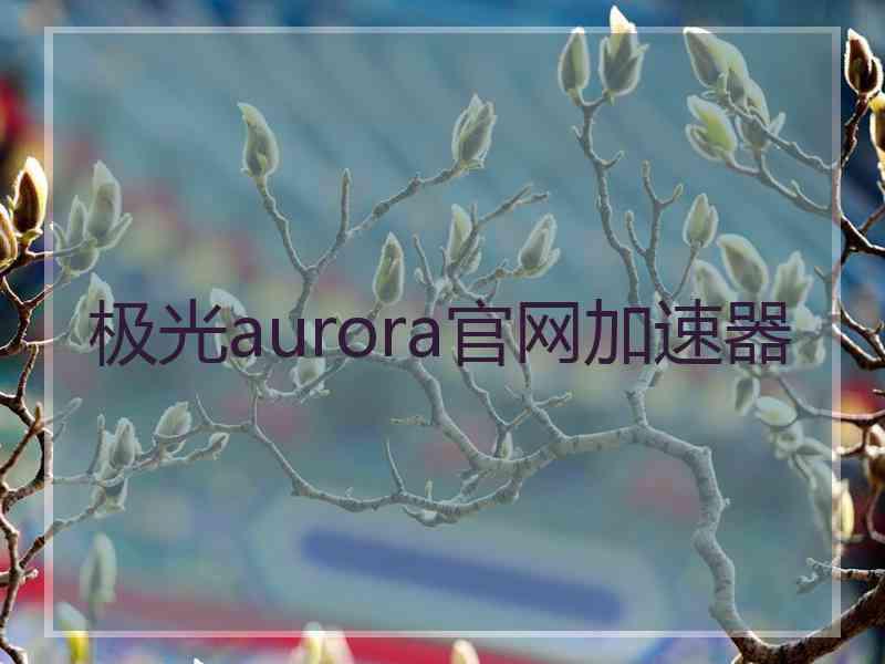 极光aurora官网加速器