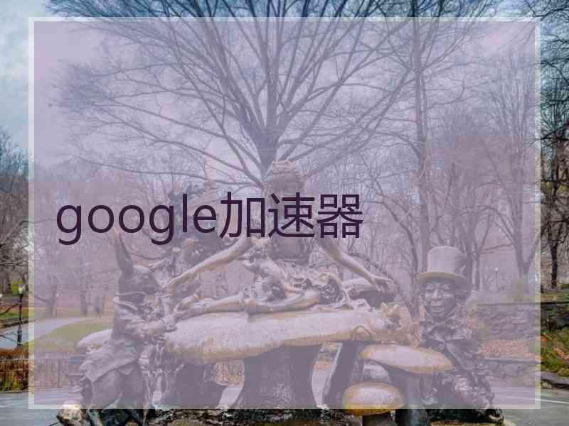 google加速器