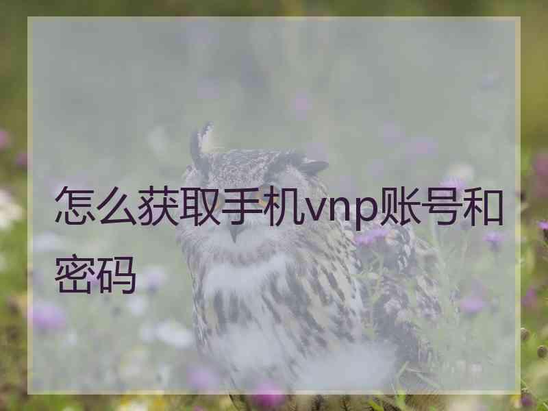 怎么获取手机vnp账号和密码