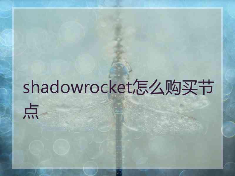 shadowrocket怎么购买节点