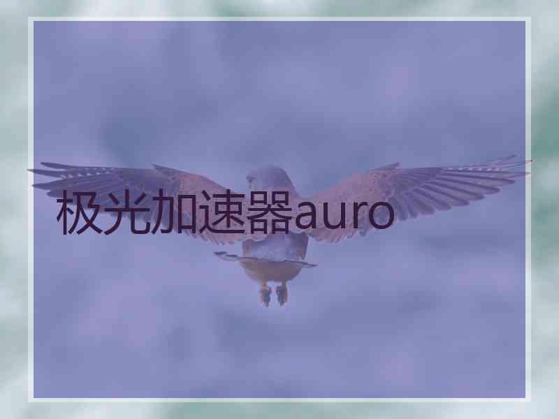 极光加速器auro