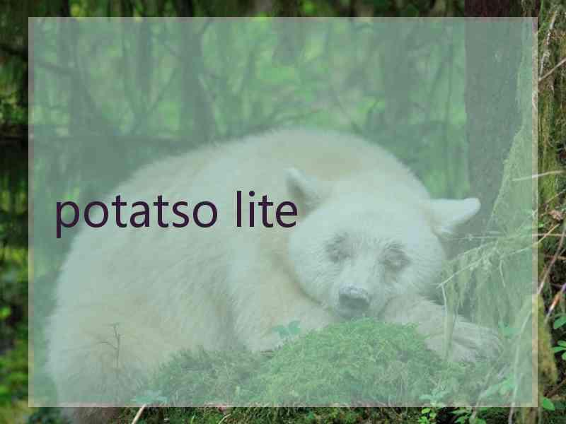 potatso lite