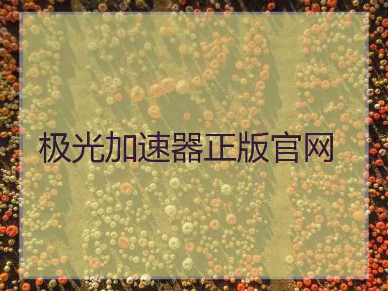 极光加速器正版官网