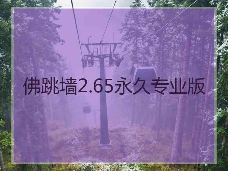 佛跳墙2.65永久专业版