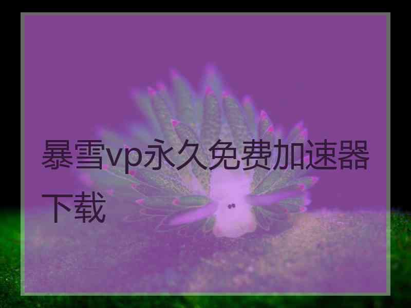 暴雪vp永久免费加速器下载