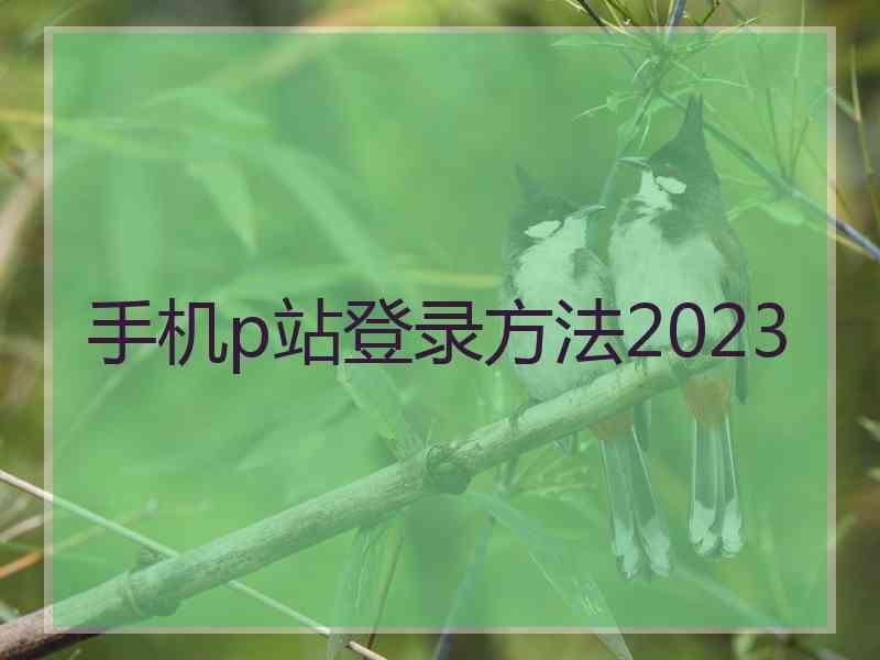 手机p站登录方法2023