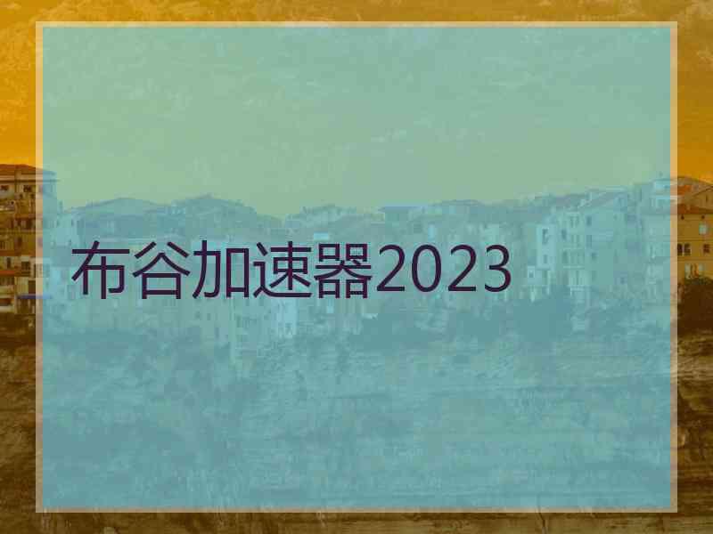 布谷加速器2023