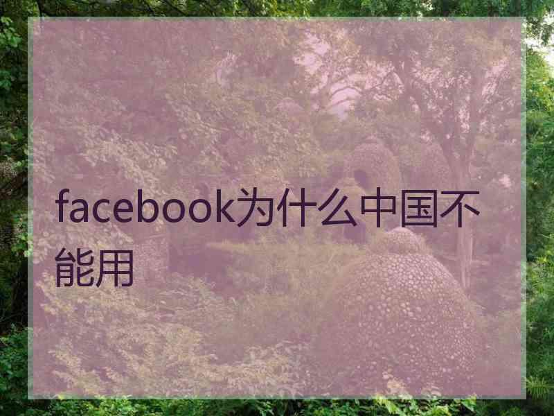 facebook为什么中国不能用