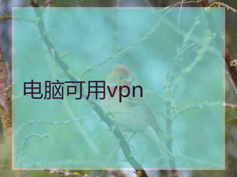 电脑可用vpn