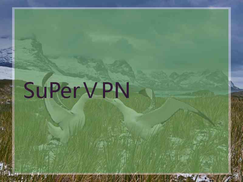 SuPerⅤPN