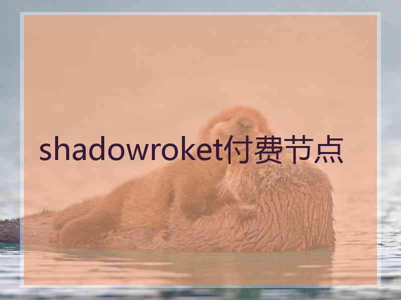 shadowroket付费节点