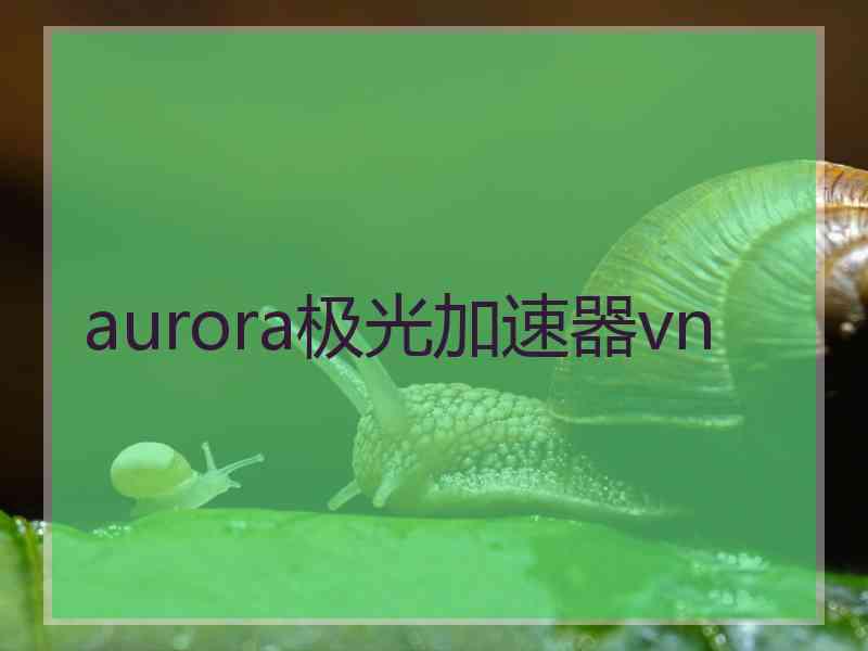 aurora极光加速器vn