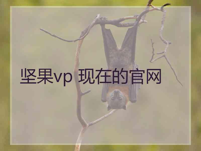 坚果vp 现在的官网