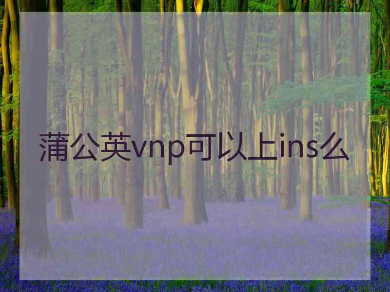 蒲公英vnp可以上ins么