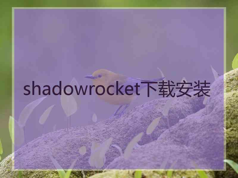 shadowrocket下载安装