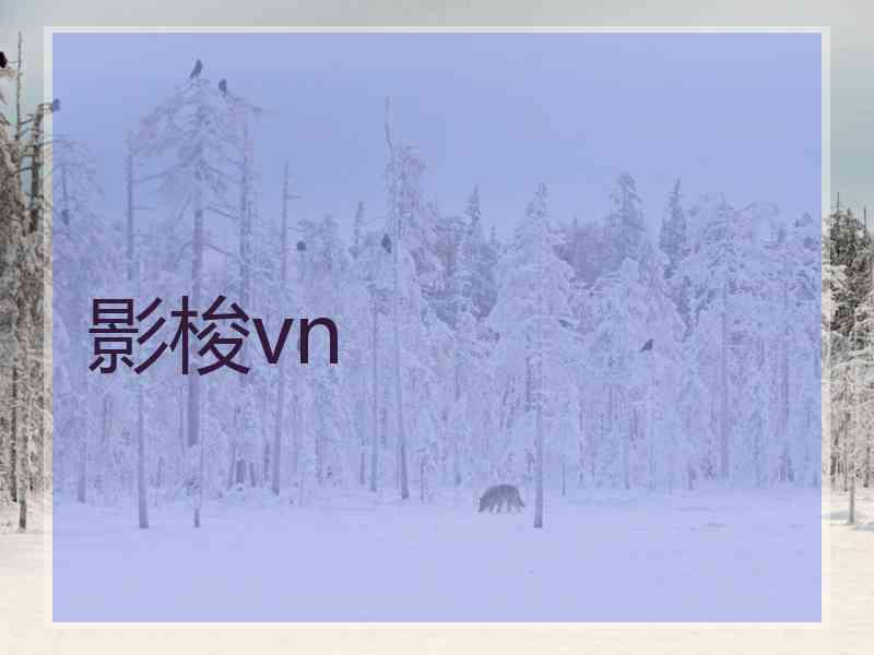 影梭vn