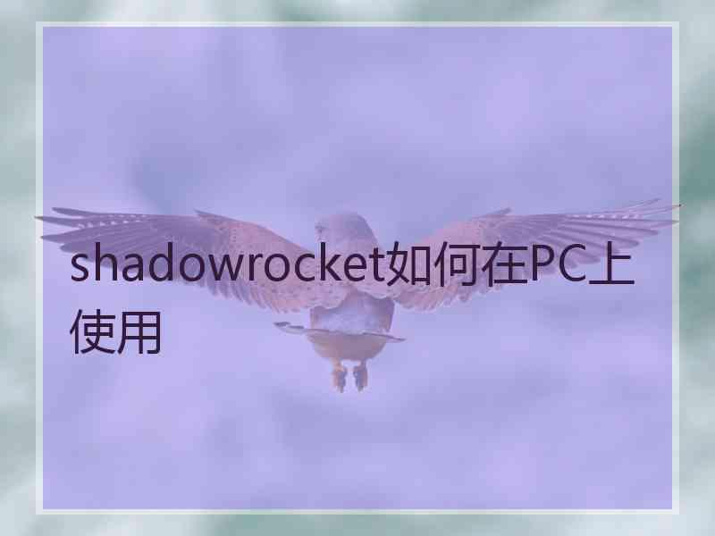 shadowrocket如何在PC上使用