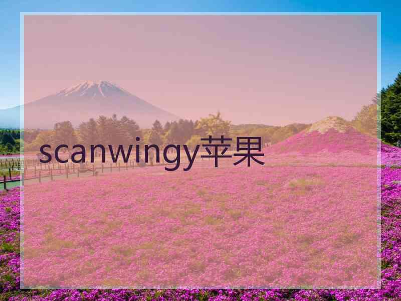 scanwingy苹果