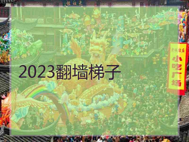 2023翻墙梯子