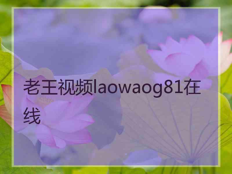 老王视频laowaog81在线