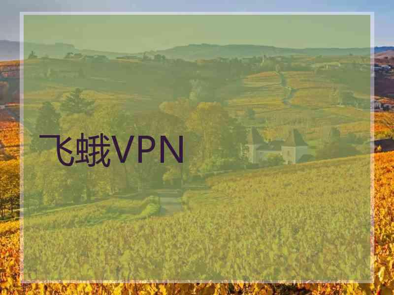 飞蛾VPN