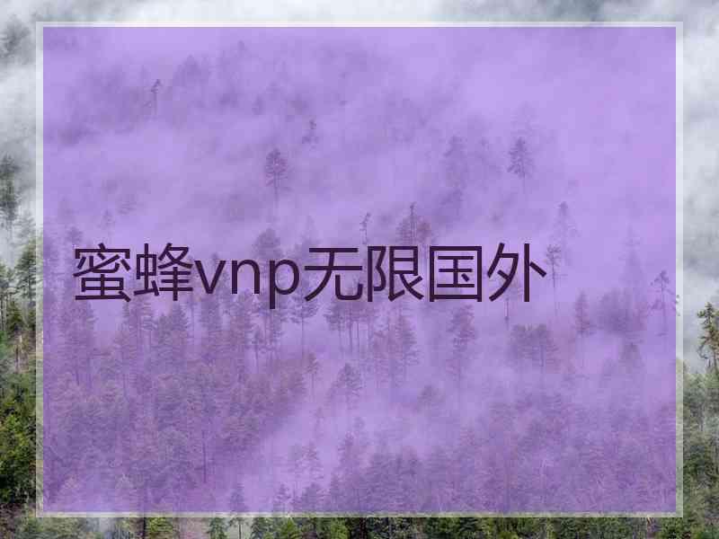 蜜蜂vnp无限国外