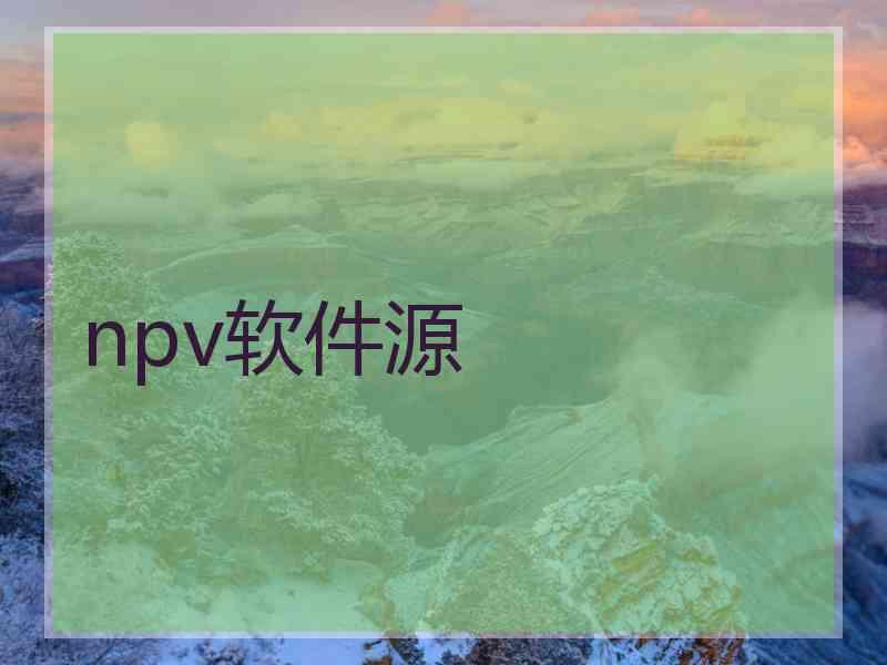 npv软件源