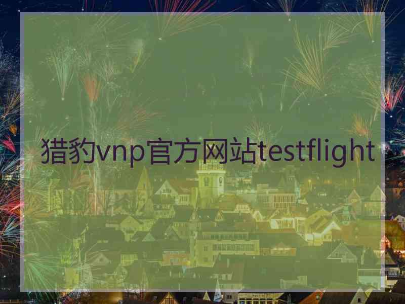 猎豹vnp官方网站testflight