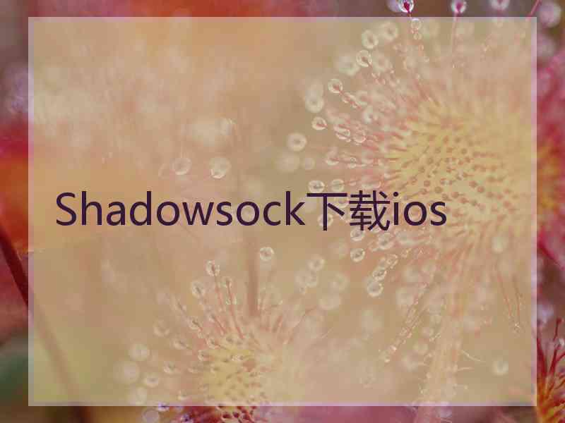 Shadowsock下载ios