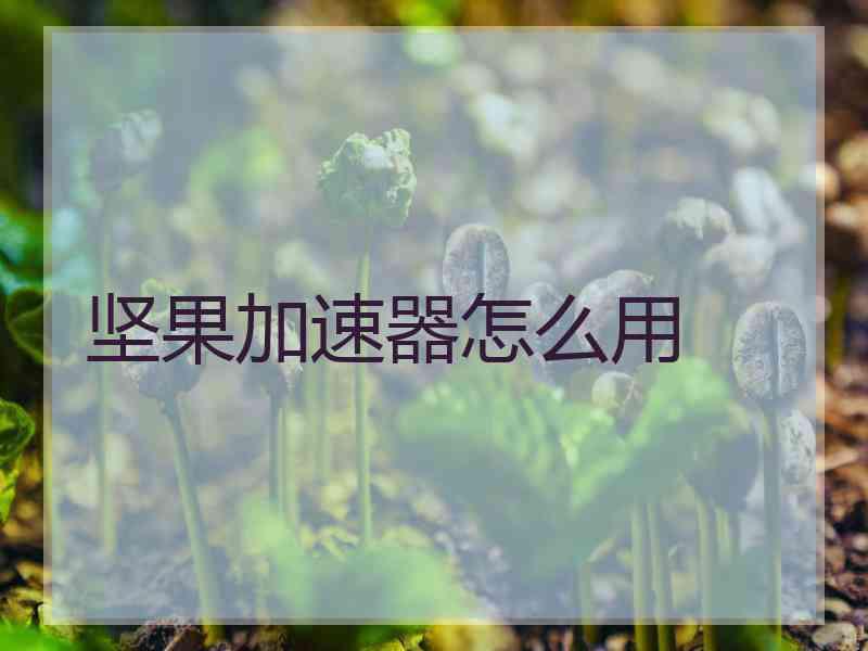 坚果加速器怎么用