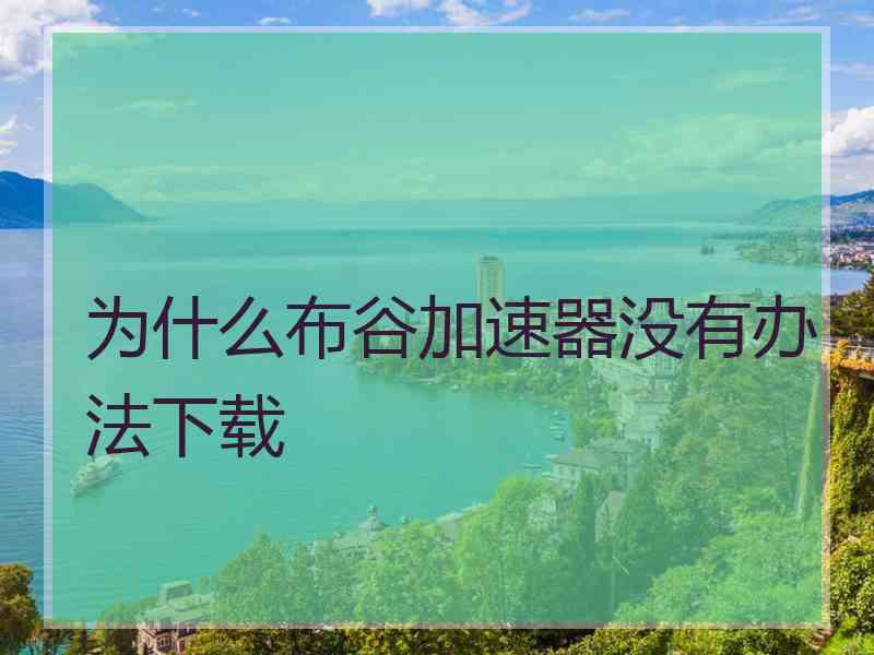 为什么布谷加速器没有办法下载