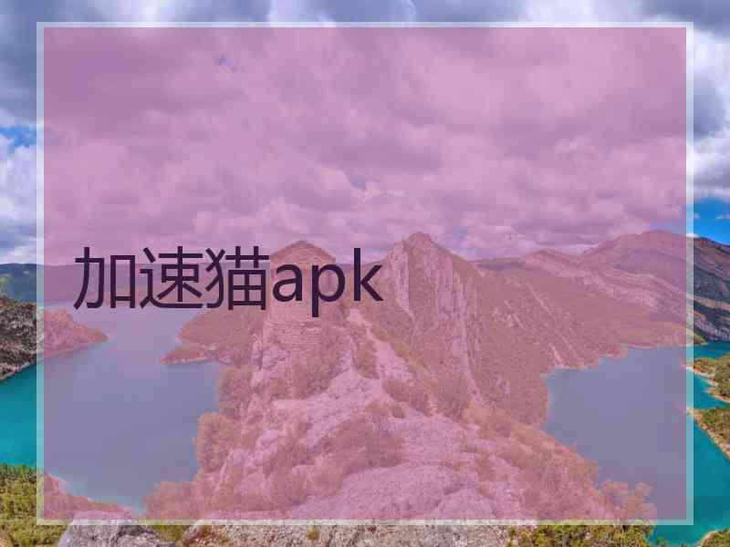 加速猫apk