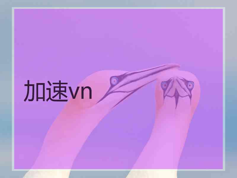 加速vn