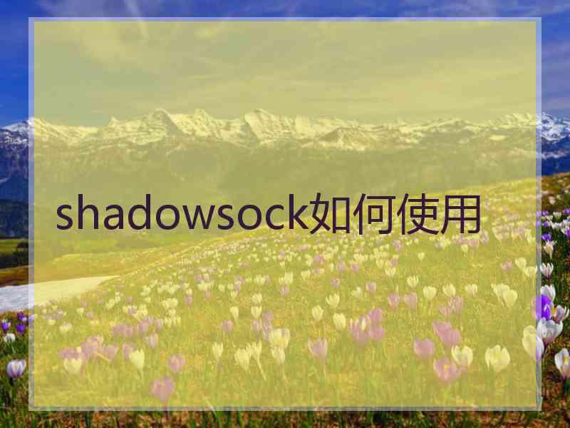 shadowsock如何使用