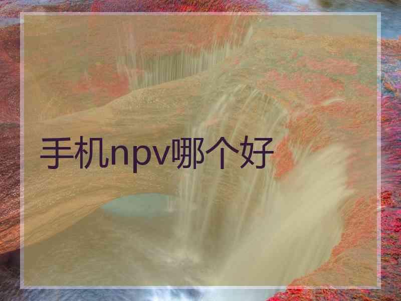 手机npv哪个好