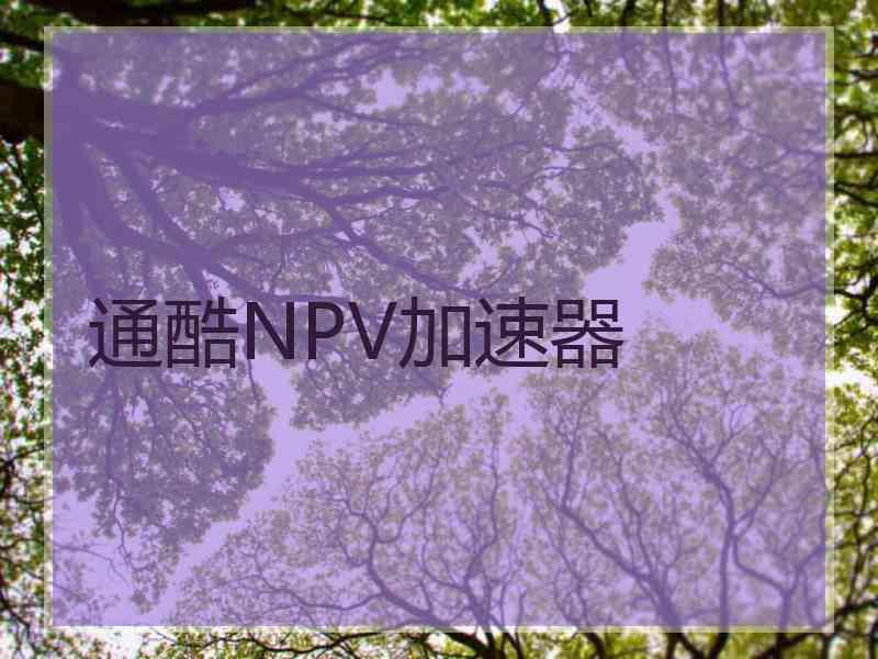 通酷NPV加速器