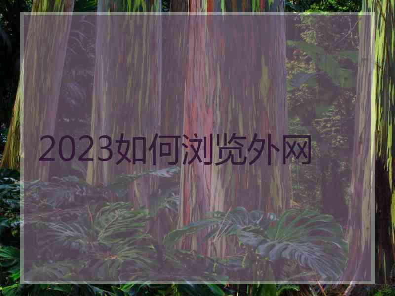 2023如何浏览外网