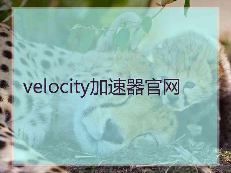 velocity加速器官网