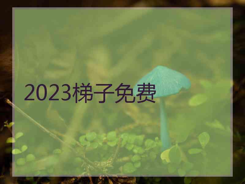 2023梯子免费