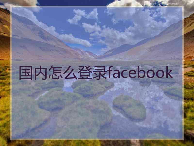 国内怎么登录facebook