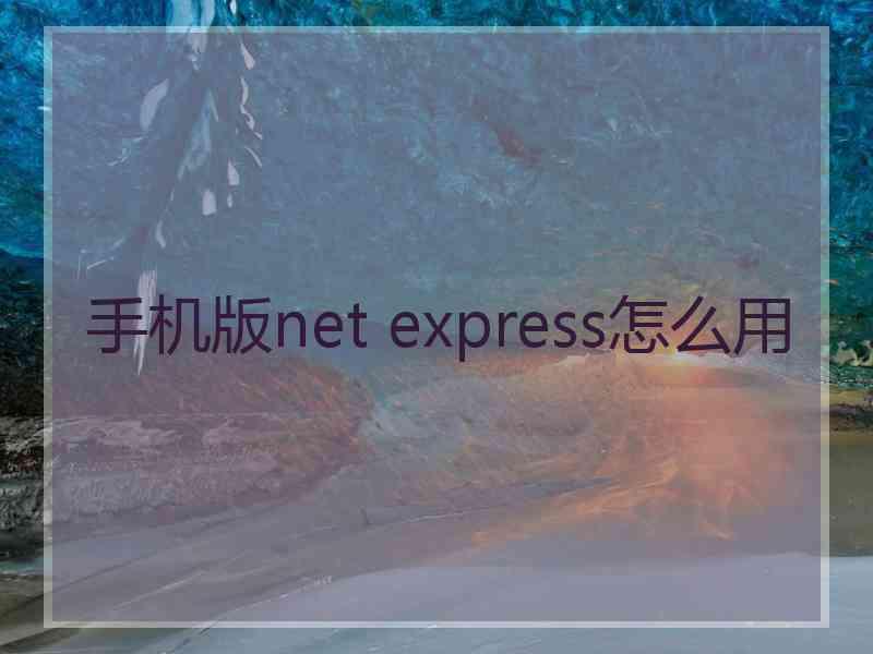 手机版net express怎么用