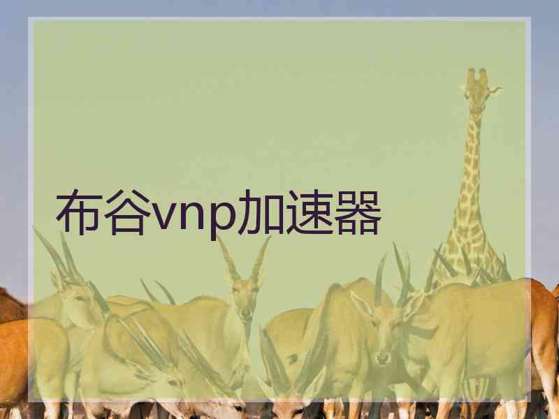 布谷vnp加速器