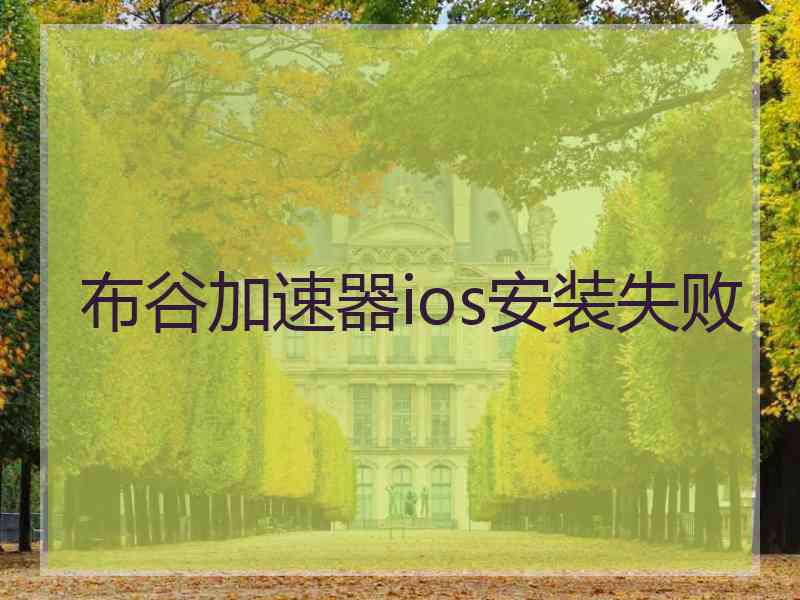 布谷加速器ios安装失败