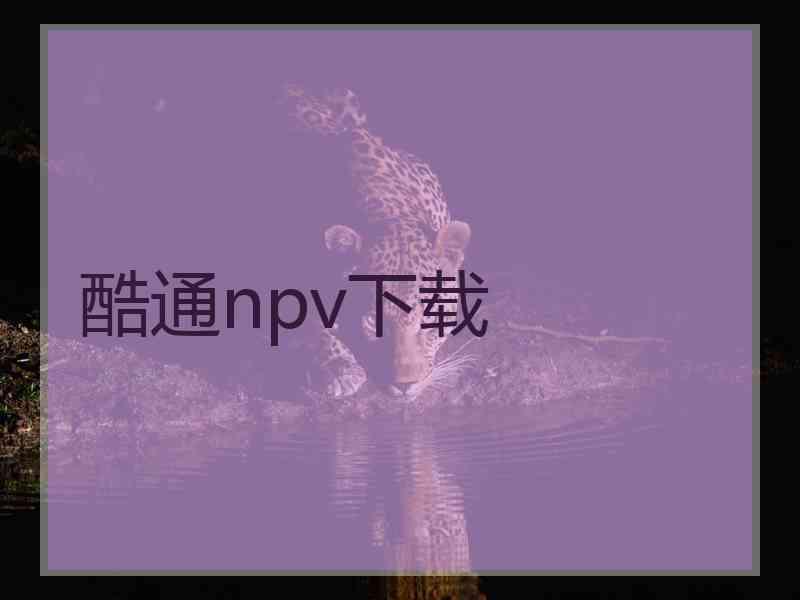 酷通npv下载