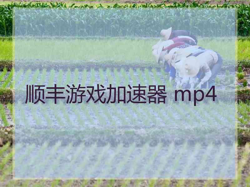 顺丰游戏加速器 mp4