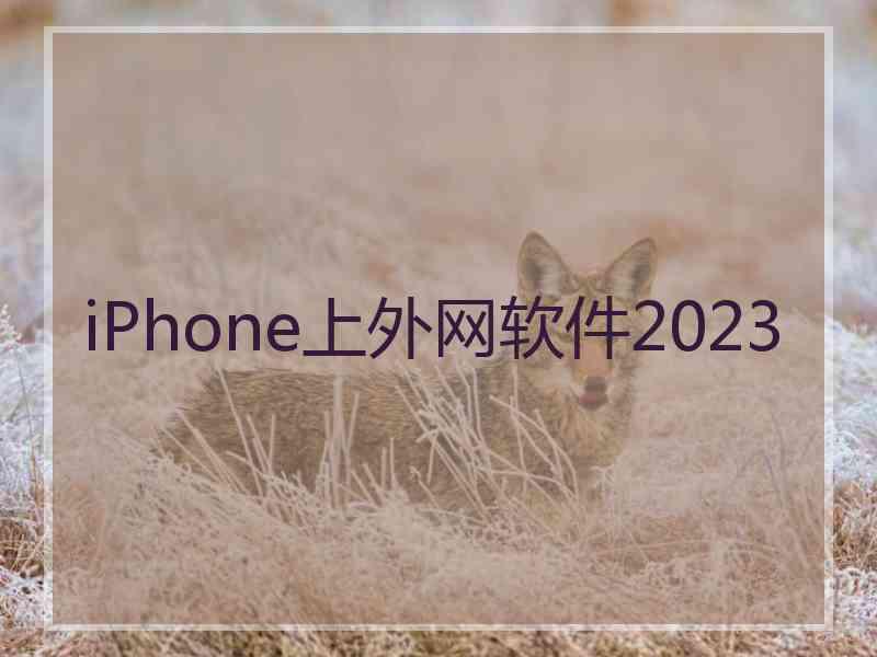 iPhone上外网软件2023